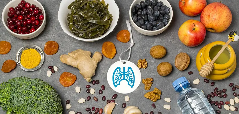 You are currently viewing What Foods Help Repair Lungs After Lung Transplant?