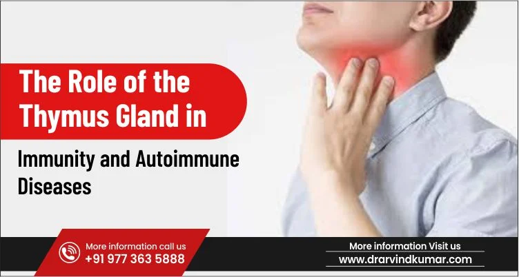The Role of the Thymus Gland in Immunity and Autoimmune Diseases